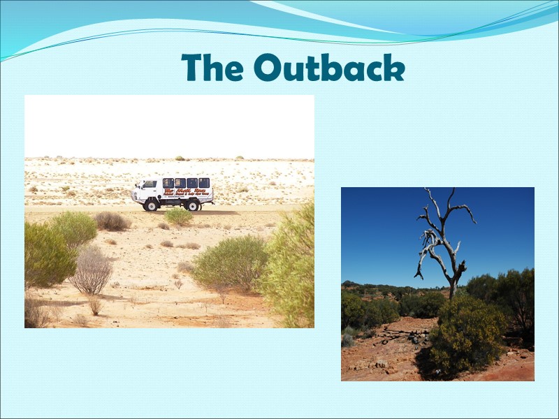 The Outback